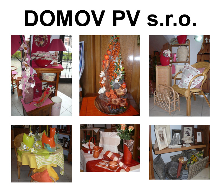 DOMOV PV s.r.o.